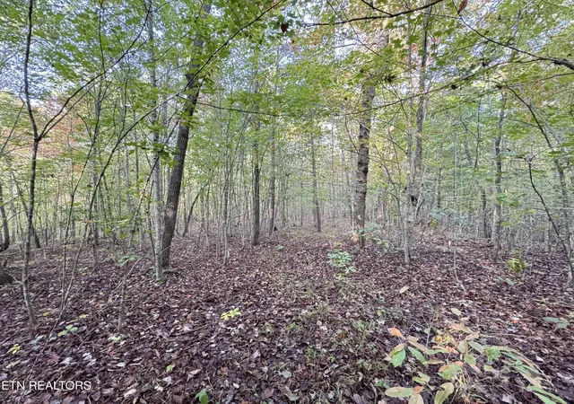 Homes for sale in Sunbright, TN | Lot 7 Crest View Dr, Sunbright, TN 37872 | MLS# 1346191