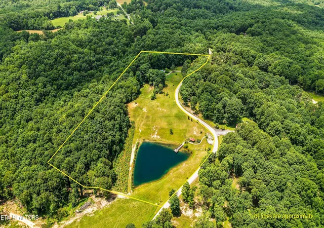 5th image of 748 Christenson Rd, Deer Lodge, TN 37726 | MLS# 1346269