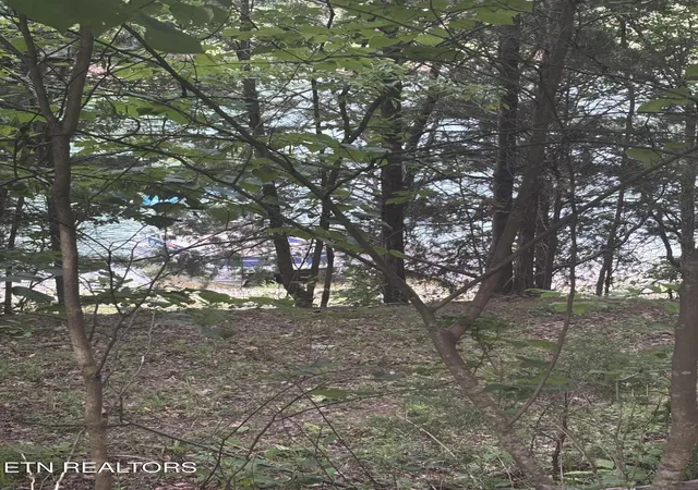 3rd image of 2327 Boat Dock Rd, Talbott, TN 37877 | MLS# 1346309