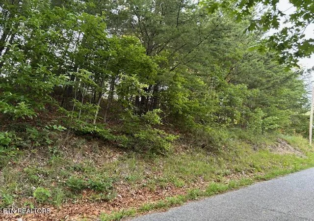 Photo 2 of Land for sale at 00 Top Rd, Sevierville, TN 37876 | MLS# 1346228 | Listing updated on 2026-10-23