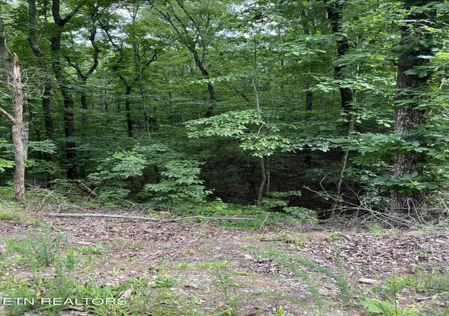 Homes for sale in Vonore, TN | Three Point Rd, Vonore, TN 37885 | MLS# 1346314