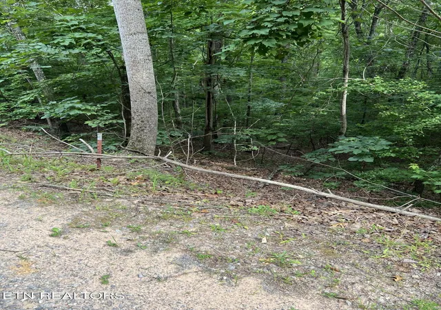 Homes for sale in Vonore, TN | Three Point Rd, Vonore, TN 37885 | MLS# 1346314