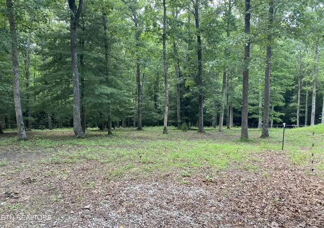 37th image of 147 Saddle Dr, Jamestown, TN 38556 | MLS# 1347356