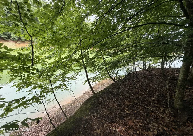 Photo 3 of Land for sale at Old Chisholm Tr, Dandridge, TN 37725 | MLS# 1346295 | Listing updated on 2026-06-28