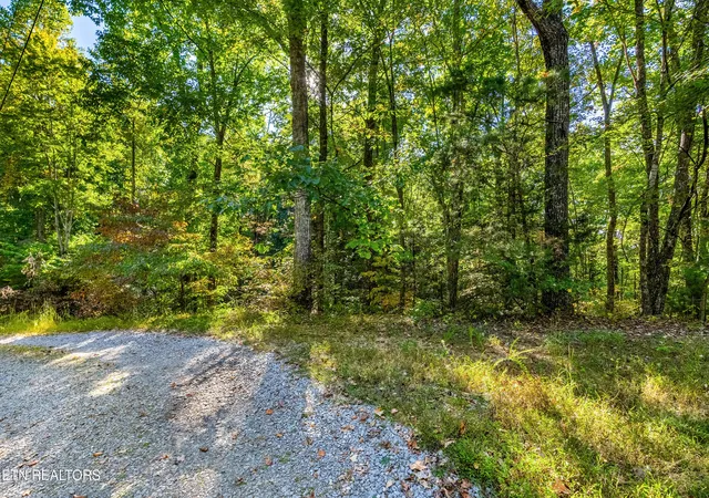 2nd image of Lot 4 Deer Ridge Ln, Sevierville, TN 37876 | MLS# 1346289