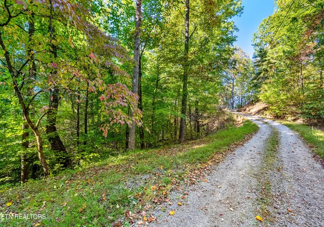 3rd image of Lot 4 Deer Ridge Ln, Sevierville, TN 37876 | MLS# 1346289