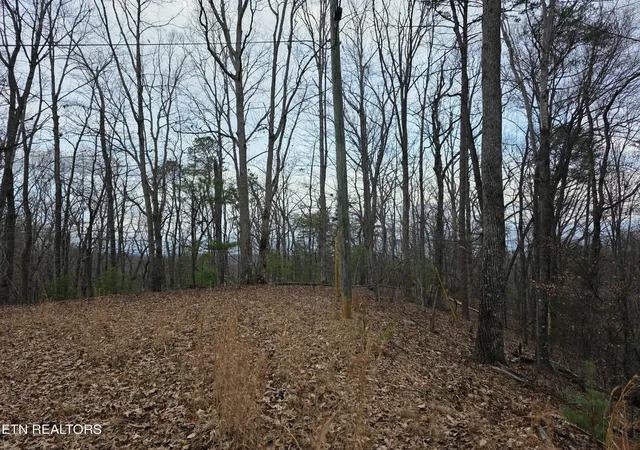 4th image of Lot 4 Deer Ridge Ln, Sevierville, TN 37876 | MLS# 1346289