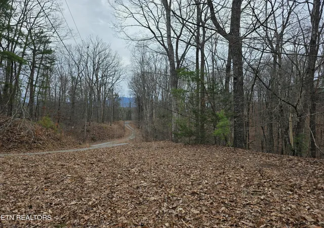 5th image of Lot 4 Deer Ridge Ln, Sevierville, TN 37876 | MLS# 1346289