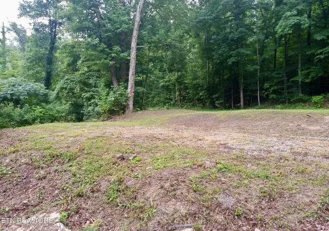 3rd image of Roe, Winfield, TN 37892 | MLS# 1346525