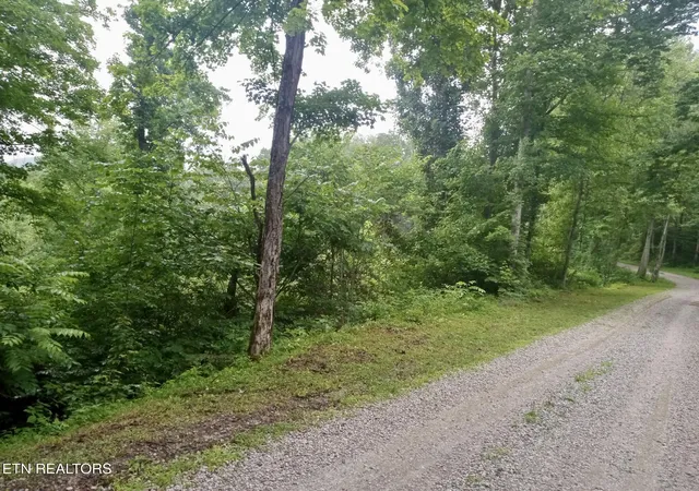 Homes for sale in Winfield, TN | Roe, Winfield, TN 37892 | MLS# 1346525