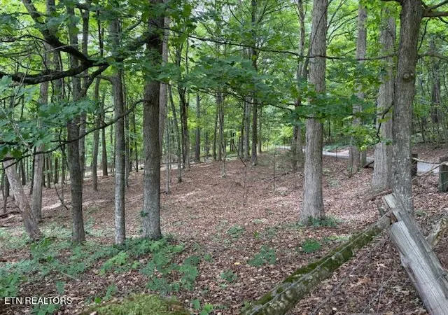 3rd image of S Ridge Crest Rd, Luttrell, TN 37779 | MLS# 1346310