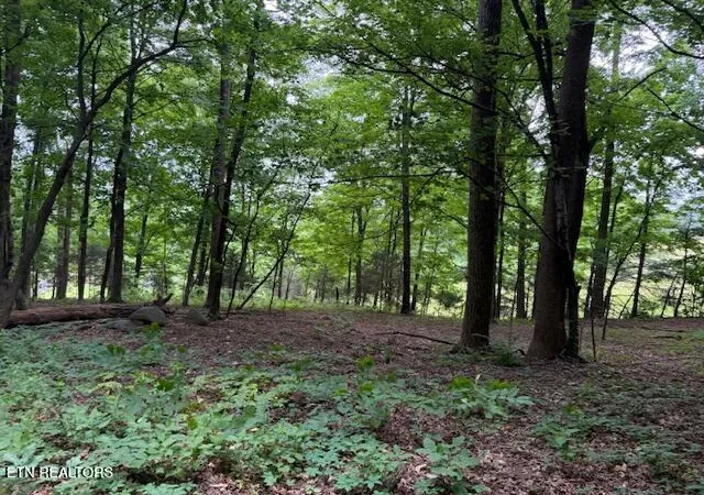 4th image of S Ridge Crest Rd, Luttrell, TN 37779 | MLS# 1346310