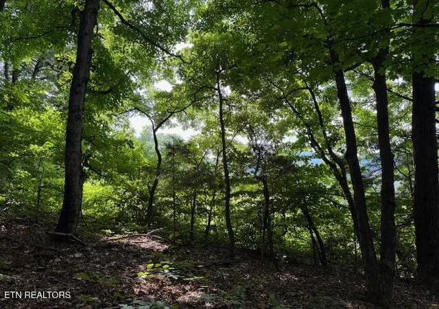 5th image of S Ridge Crest Rd, Luttrell, TN 37779 | MLS# 1346310