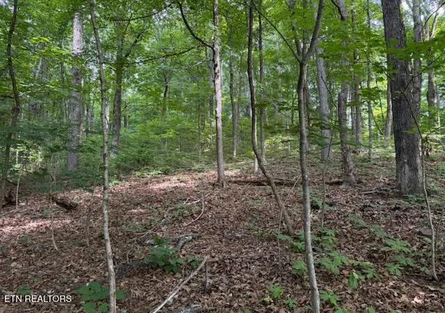 6th image of S Ridge Crest Rd, Luttrell, TN 37779 | MLS# 1346310
