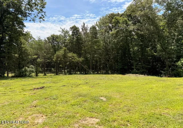 Homes for sale in Niota, TN | 145 County Road 295 Rd, Niota, TN 37826 | MLS# 1346317