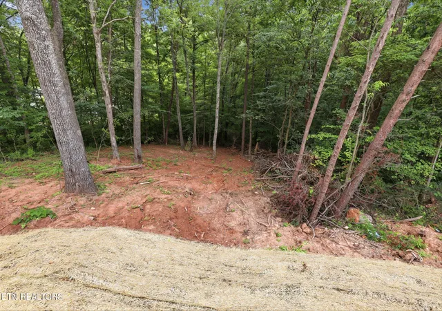 27th image of 6504 Milroy Ln, Knoxville, TN 37918 | MLS# 1346336