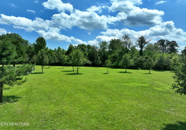 Homes for sale in Spring City, TN | 5858 Wolf Creek Rd, Spring City, TN 37381 | MLS# 1346362