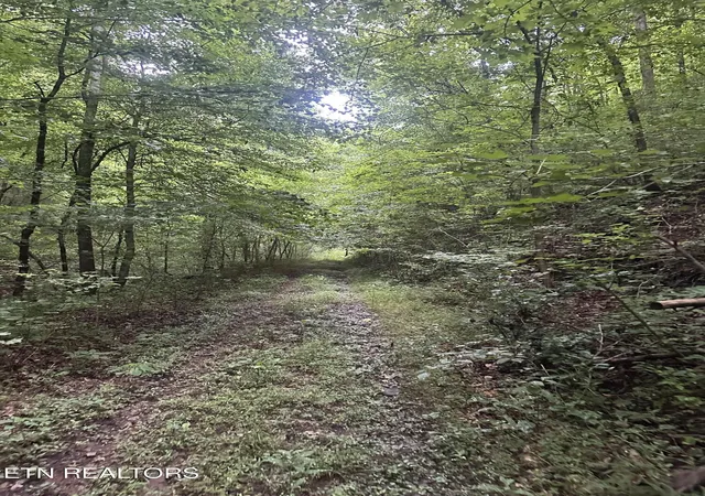 11th image of County Road 484, Etowah, TN 37331 | MLS# 1346355
