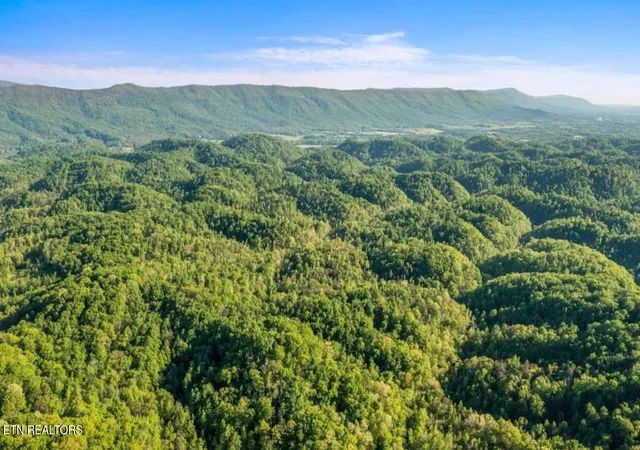 Photo 3 of Land for sale at County Rd 484, Etowah, TN 37331 | MLS# 1346355 | Listing updated on 2026-09-16