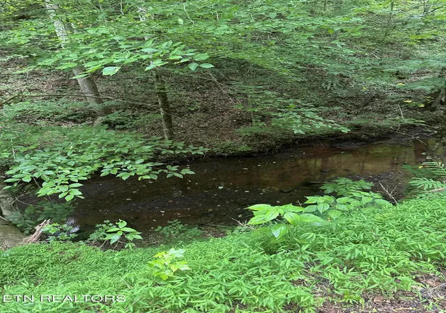 Photo 3 of Land for sale at County Rd 484, Etowah, TN 37331 | MLS# 1346355 | Listing updated on 2026-09-16