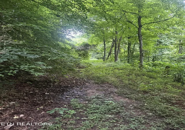 Photo 4 of Land for sale at County Rd 484, Etowah, TN 37331 | MLS# 1346355 | Listing updated on 2026-09-16