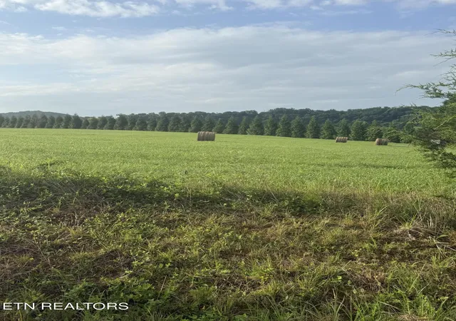 Homes for sale in Rutledge, TN | Holston Acres, Rutledge, TN 37861 | MLS# 1346356