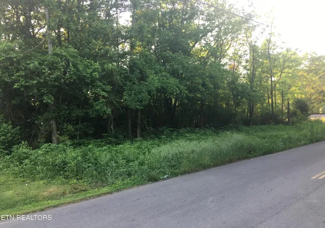 2nd image of 450 Butler Rd, Decatur, TN 37322 | MLS# 1346393