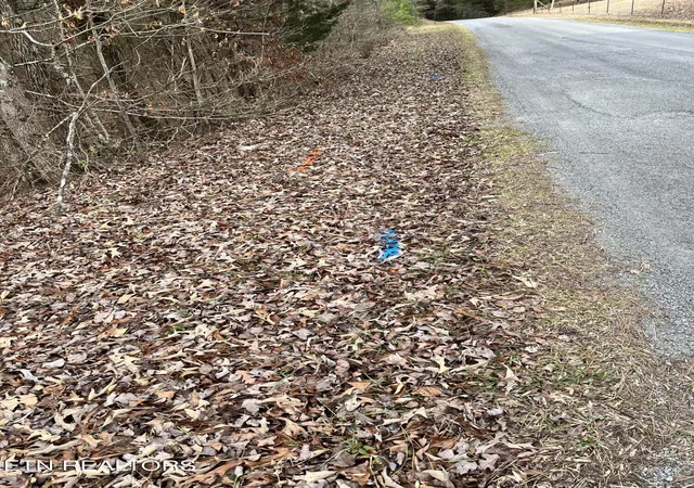 Photo 3 of Land for sale at 450 Butler Rd, Decatur, TN 37322 | MLS# 1346393 | Listing updated on 2026-06-29