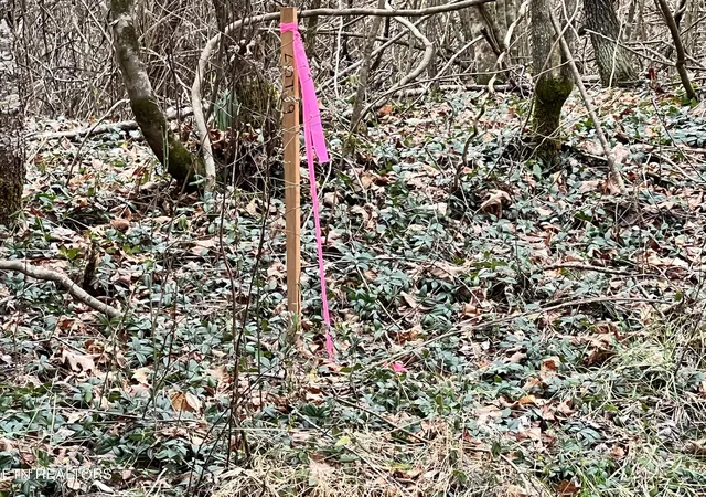 Photo 3 of Land for sale at 450 Butler Rd, Decatur, TN 37322 | MLS# 1346393 | Listing updated on 2026-06-29