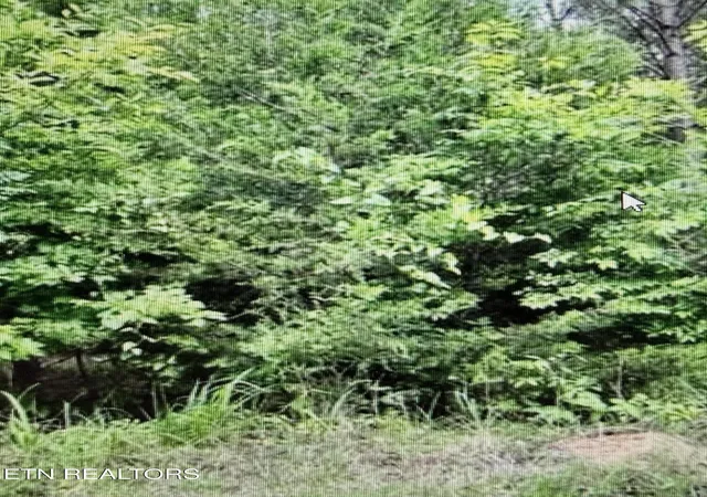 Photo 4 of Land for sale at 450 Butler Rd, Decatur, TN 37322 | MLS# 1346393 | Listing updated on 2026-06-29