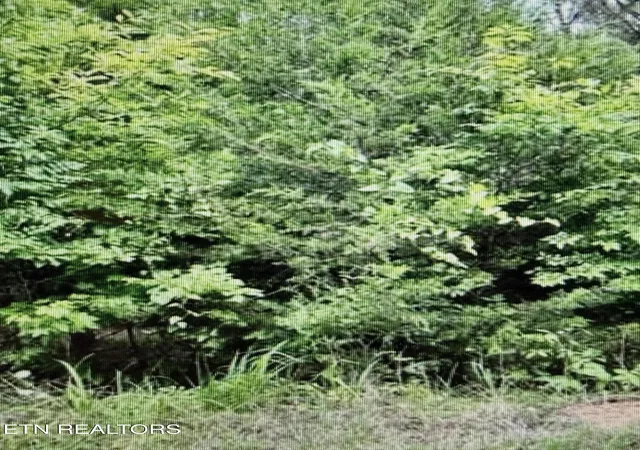 7th image of 450 Butler Rd, Decatur, TN 37322 | MLS# 1346393