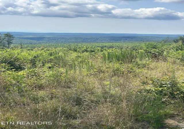 Photo 1 of Land for sale at 506 Sweeny Branch Rd, Spring City, TN 37381 | MLS# 1346428 | Listing updated on 2026-06-30
