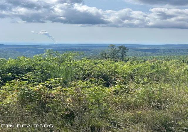 Photo 3 of Land for sale at 506 Sweeny Branch Rd, Spring City, TN 37381 | MLS# 1346428 | Listing updated on 2026-06-30