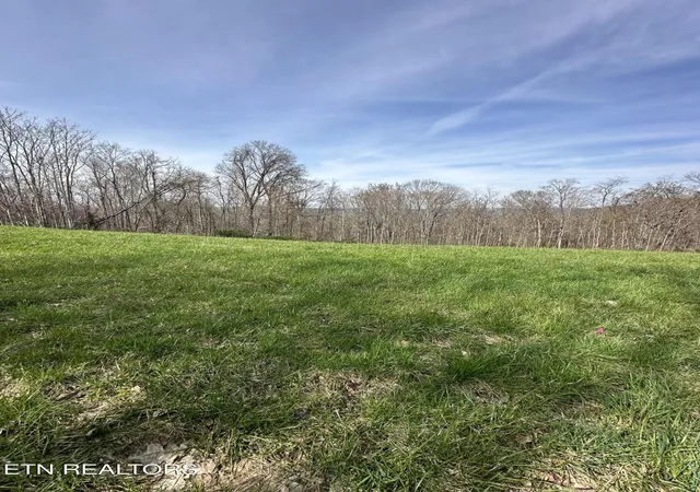 Homes for sale in Maynardville, TN | Bob Wright Rd #Lot 41, Maynardville, TN 37807 | MLS# 1346757