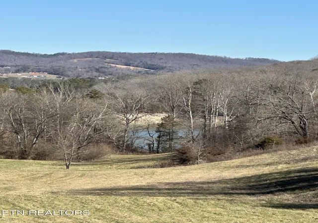 Homes for sale in Maynardville, TN | Bob Wright Rd #Lot 41, Maynardville, TN 37807 | MLS# 1346757