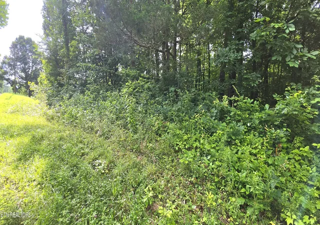 Homes for sale in Maynardville, TN | Lot 18 Pine Ln, Maynardville, TN 37807 | MLS# 1346507