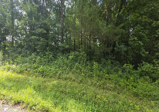 Homes for sale in Maynardville, TN | Lot 18 Pine Ln, Maynardville, TN 37807 | MLS# 1346507