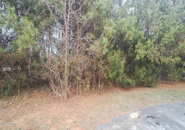 Photo 3 of Land for sale at Raintree Ln, Kingston, TN 37763 | MLS# 1346561 | Listing updated on 2026-07-01