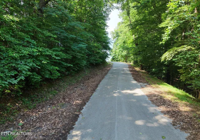 Homes for sale in New Tazewell, TN | Moonstone Ln, New Tazewell, TN 37825 | MLS# 1347249