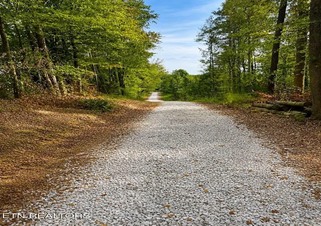 5th image of 516 Petit Ln, Wartburg, TN 37887 | MLS# 1346571