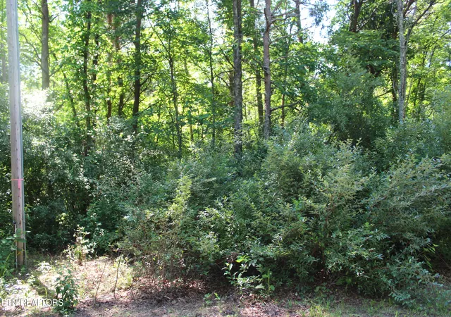 1st image of Goney Rd, Grimsley, TN 38565 | MLS# 1346577