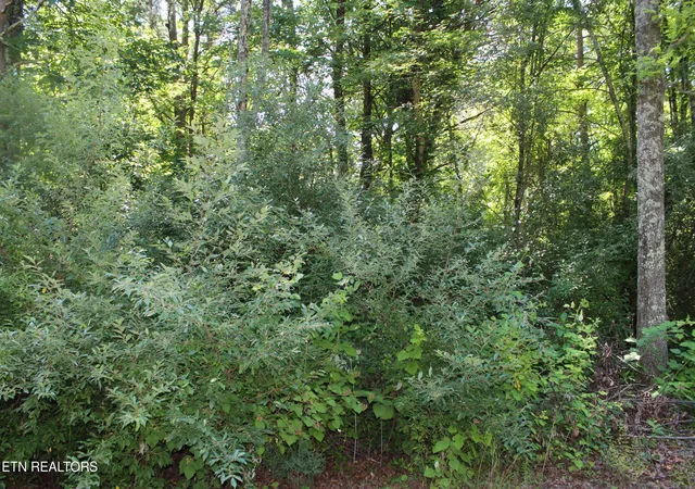 2nd image of Goney Rd, Grimsley, TN 38565 | MLS# 1346577