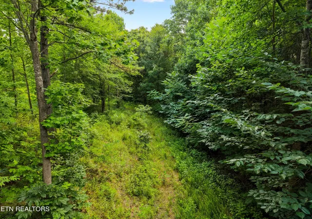 4th image of 13252 Flatwoods Rd, Sweetwater, TN 37874 | MLS# 1346665