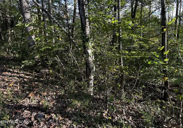 4th image of Lot 18 Revere Ave, Clinton, TN 37716 | MLS# 1346601