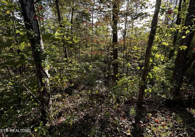 5th image of Lot 18 Revere Ave, Clinton, TN 37716 | MLS# 1346601