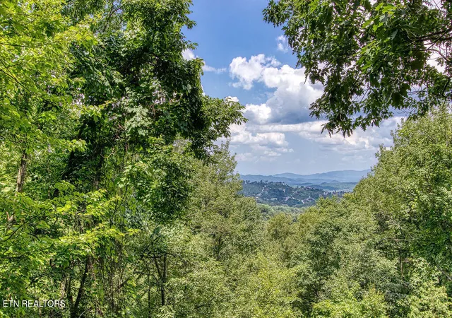 Homes for sale in Gatlinburg, TN | 1651 Arbon Ct, Gatlinburg, TN 37738 | MLS# 1346650