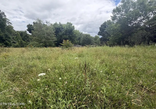 2nd image of 143 Moser Ln, Clinton, TN 37716 | MLS# 1347784