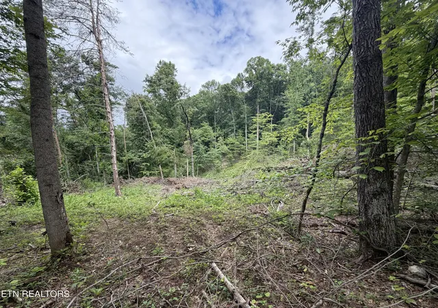 5th image of 143 Moser Ln, Clinton, TN 37716 | MLS# 1347784
