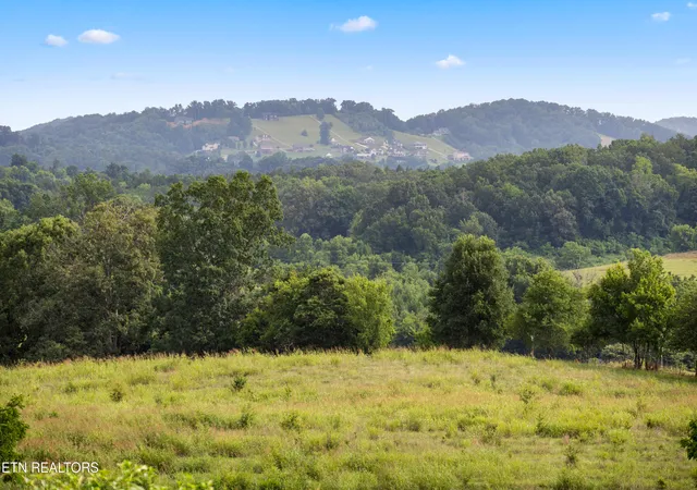 Homes for sale in Dandridge, TN | 1832 C H Rankin Rd, Dandridge, TN 37725 | MLS# 1347488