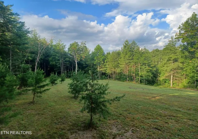 Homes for sale in Jamestown, TN | 0 Cowboy Wy, Jamestown, TN 38556 | MLS# 1346743